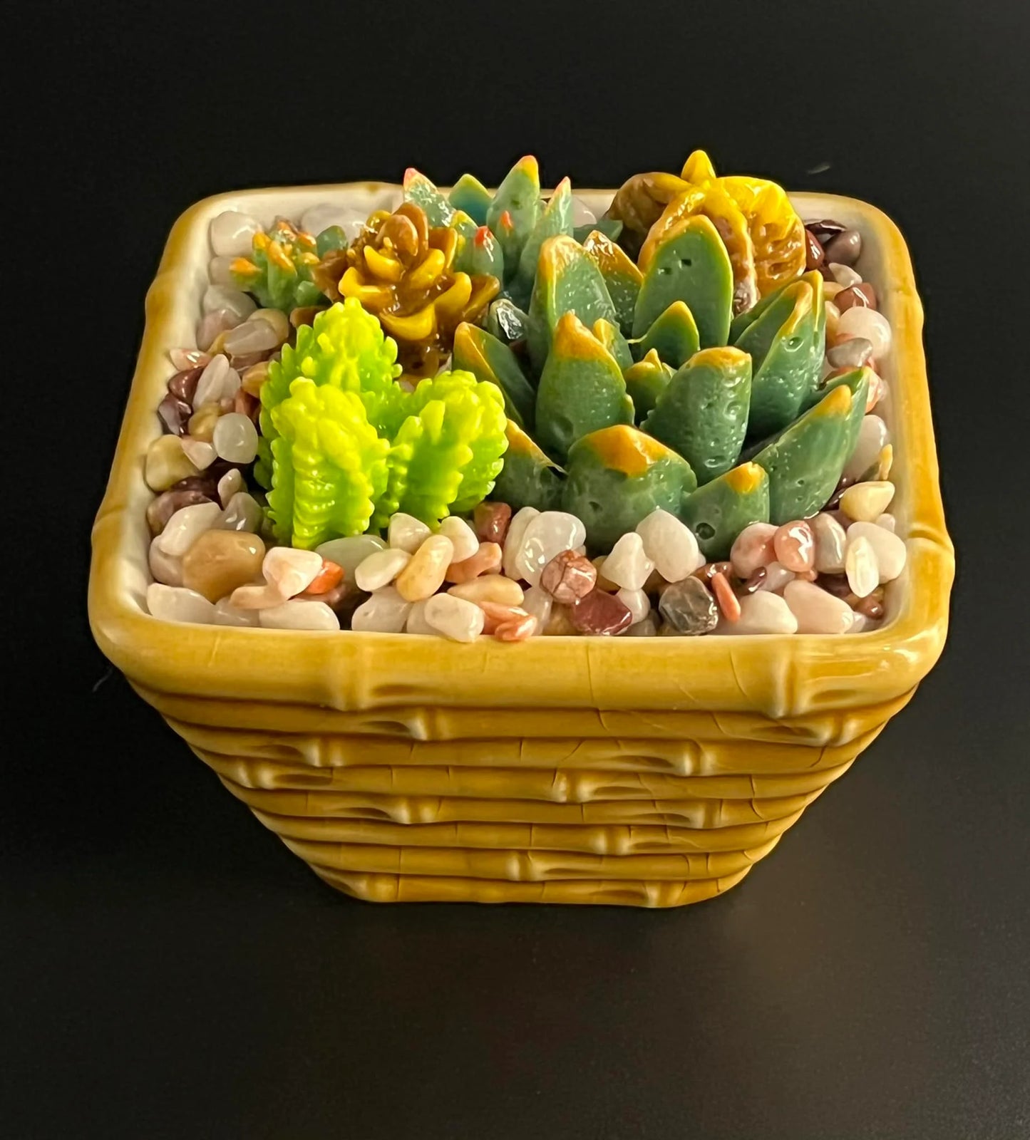 Cactus Making Class        April 27th from 11:00am - 1:30pm