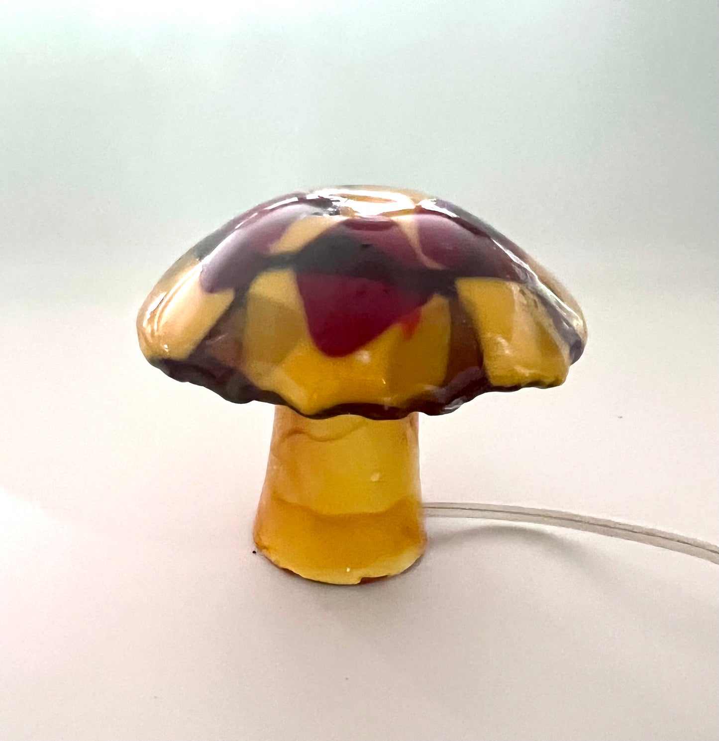 Autumn Mushroom