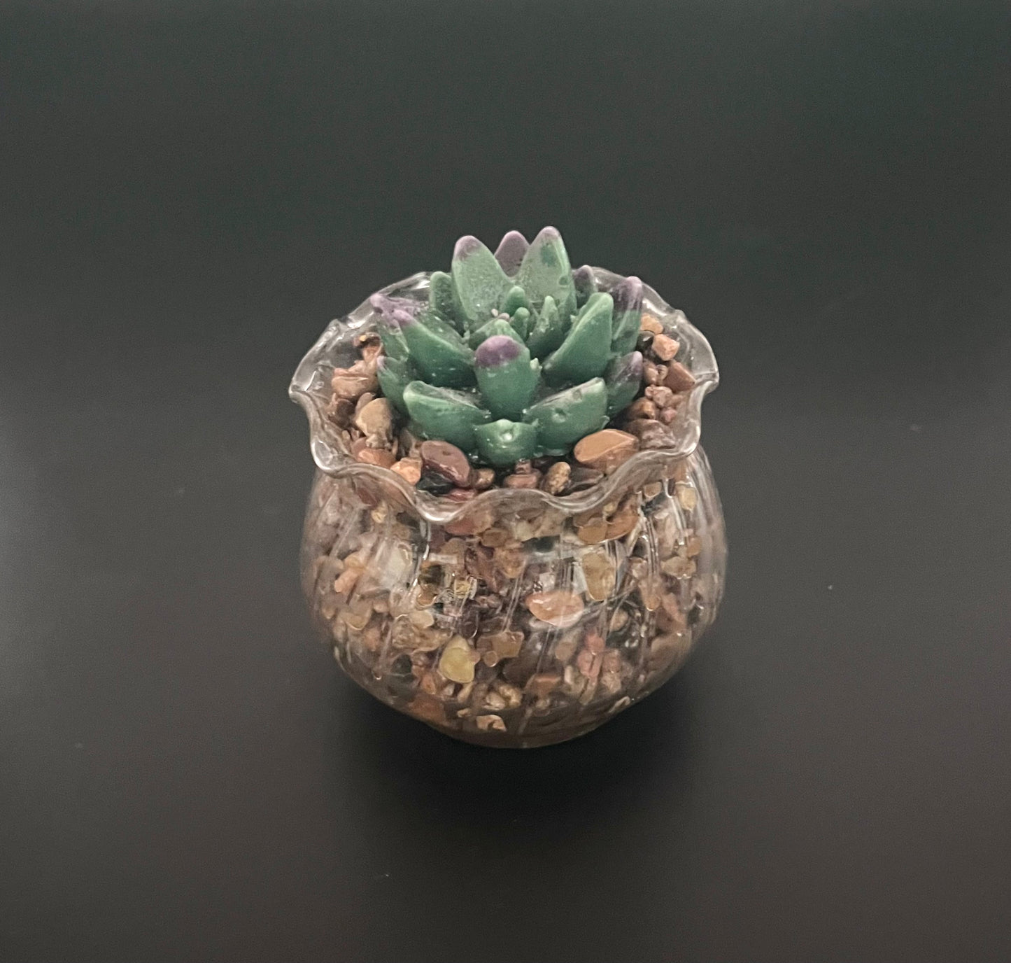 Cactus Making Class        April 27th from 11:00am - 1:30pm