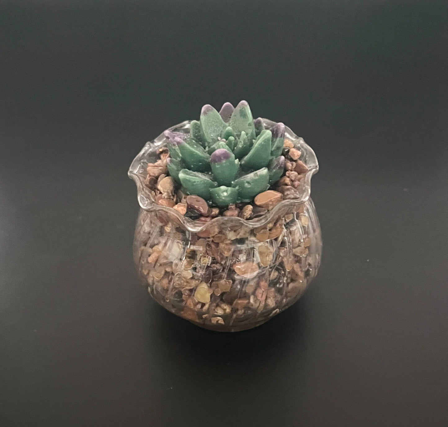 Cactus Making Class        March 9th from 11:00am - 1:30pm