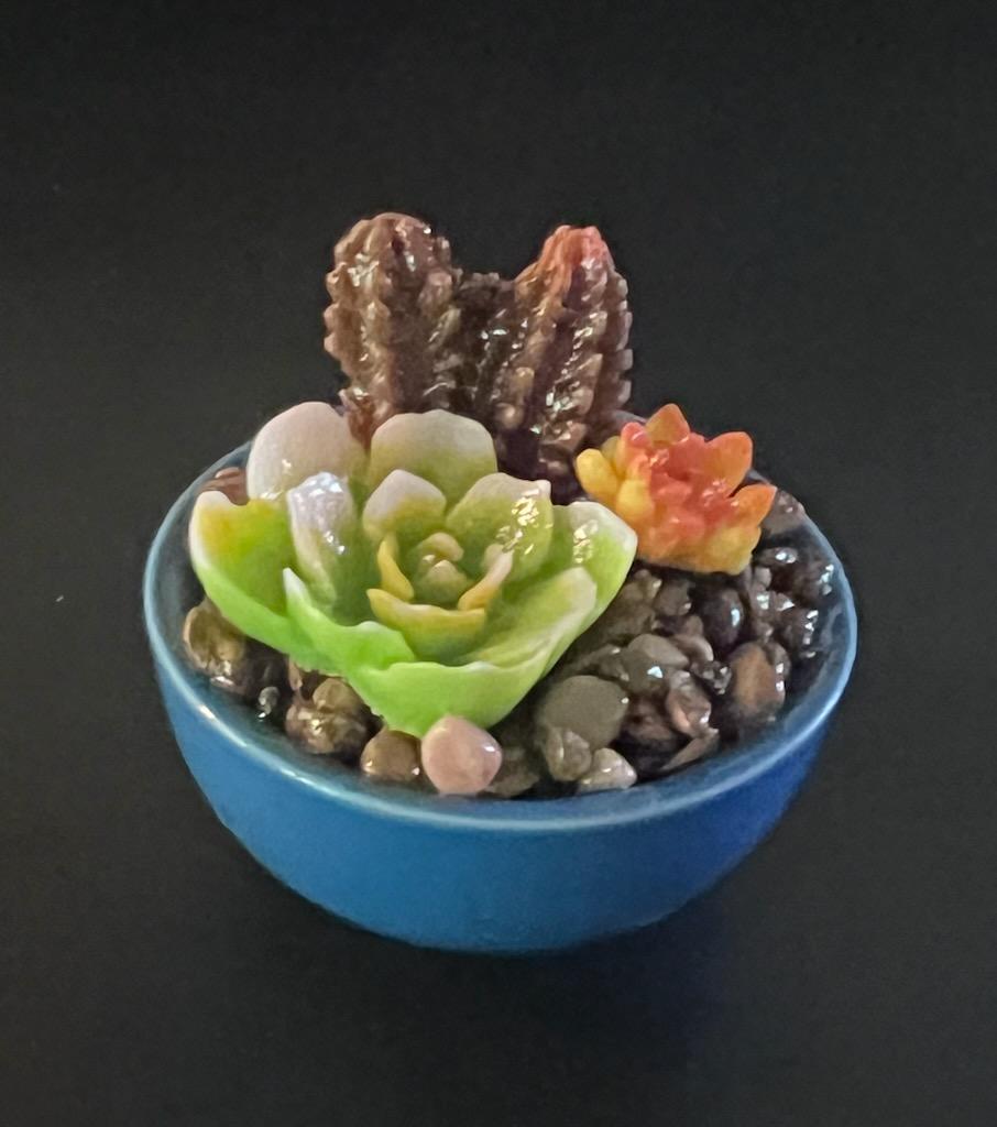 Cactus Making Class        April 27th from 11:00am - 1:30pm