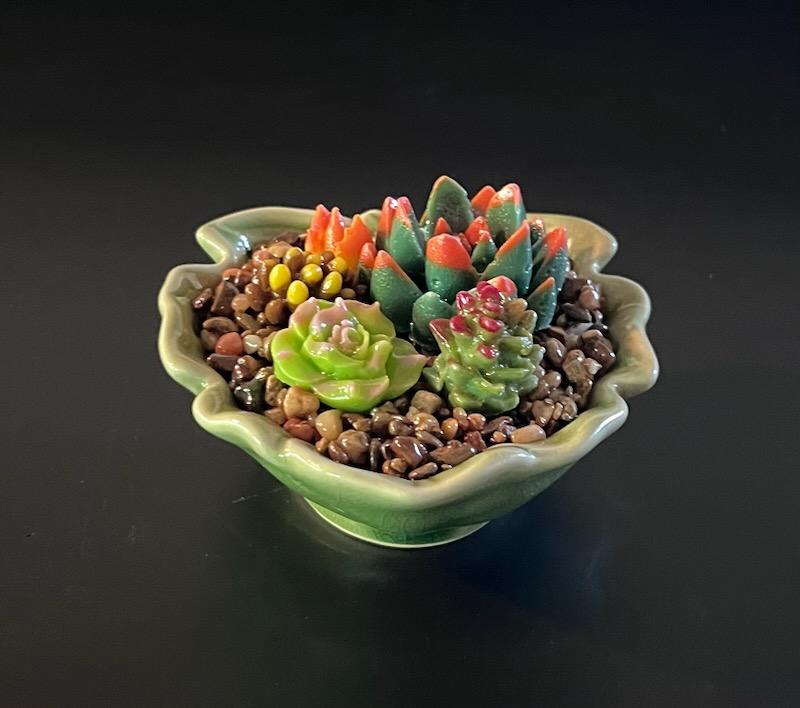 Cactus Making Class        March 9th from 11:00am - 1:30pm