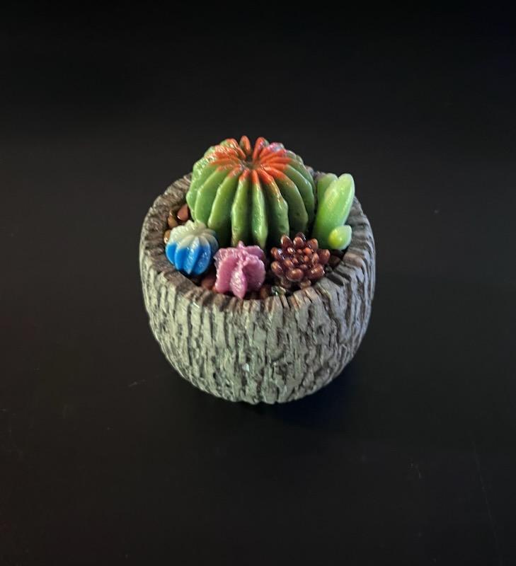 Cactus Making Class        April 27th from 11:00am - 1:30pm